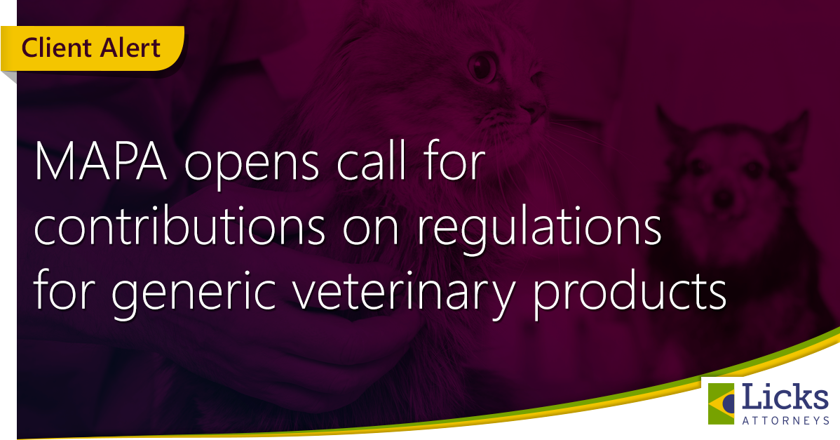 Imagem de capa da notícia 1