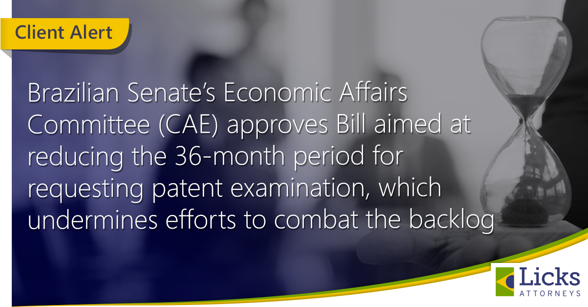 Imagem de capa da notícia 1