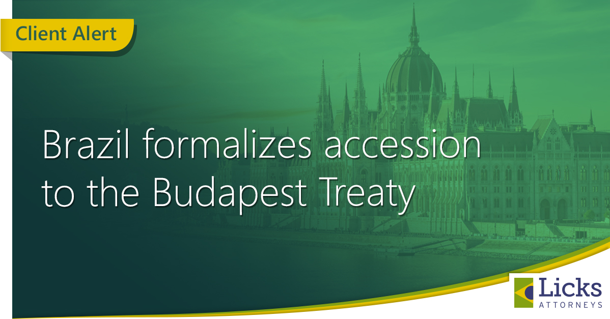 Imagem de capa da notícia 1